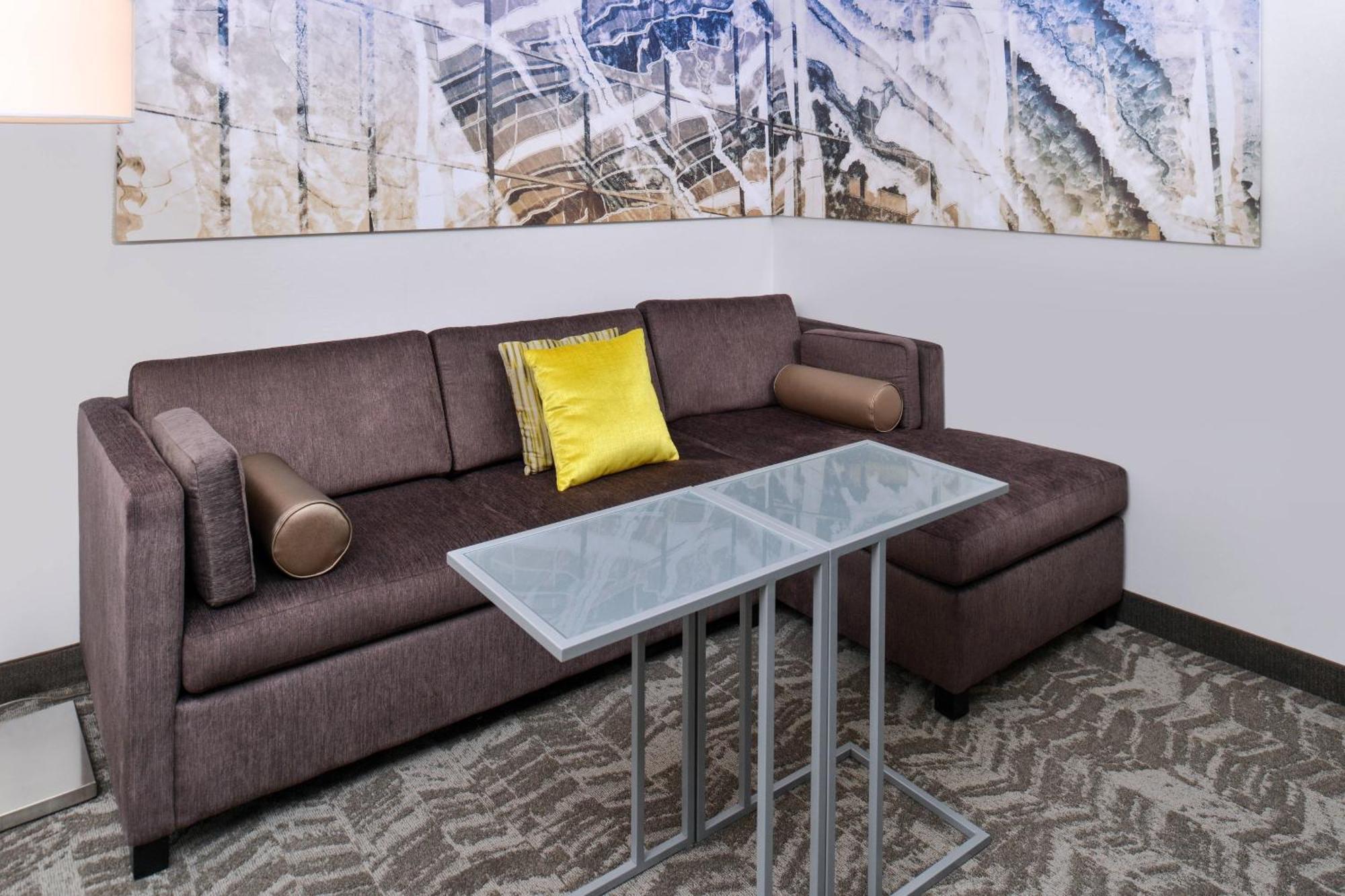 Springhill Suites By Marriott Detroit Metro Airport Romulus Εξωτερικό φωτογραφία